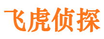 从江侦探调查公司